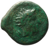 LaZooRo: Grčija - Sicilija - AE18 Triasa (pred 405 pr.n.št.) bik