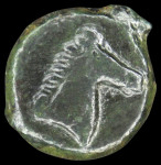 LaZooRo: Grčija - Zeugitania - AE20 Kartagine (325-275 p.n.š.) konj