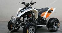 ATV 250CC ALI 300CC EGL MAD MAX 3600 EUR