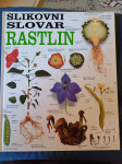 Slikovni slovar rastlin