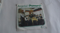 ANSAMBEL POMURCI - VINSKA ŠMARNICA