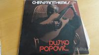 DUŠKO POPOVIĆ - CHRYSANTIHEMES