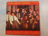 TAM SREDI GOZDA - Ansambl Beneški Fantje_Plošča_Vinil