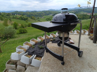 Weber Perfomer GBS