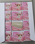 12 figur Puella Magi Madoka Magica Nendoroid Petit 12 Box set Figure