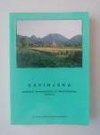 SAVINJSKA MOŽNOSTI REGIONALNEGA IN PROSTORSKEGA RAZVOJA