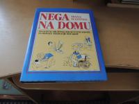 NEGA NA DOMU D. HASTINGS DZS 1990