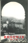 Begunje : nemška okupacija 1941-1945 / Stane Šinkovec