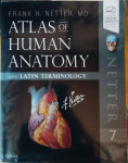 Atlas anatomije Netter's Anatomy 7th edition