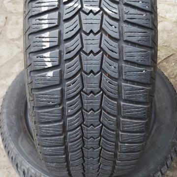 Sava Eskimo hp2 205/55 R16 zimska Guma Pnevmatika