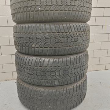 Zimske pnevmatike Sava 205/55 R16