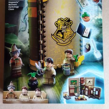 Lego Harry Potter set 76384