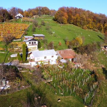 Manjše posestvo na odlični lokaciji z razgledom blizu Šentjurja