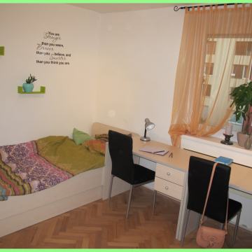 Maribor center študentsko stanovanje soba Smetanova oddam