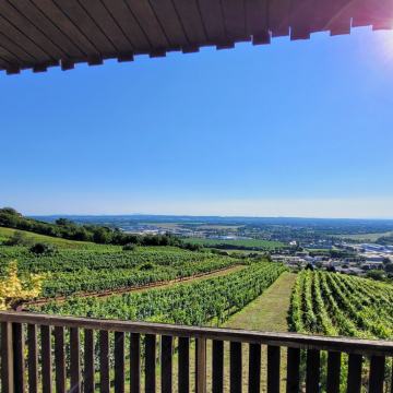 Vikend (zidanica, bivalna), Pomurje, Lendava, Lendavske Gorice