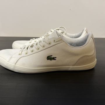 Lacoste nizke superge