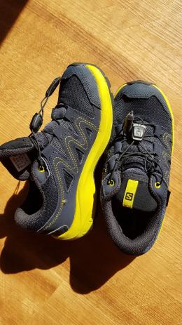 salomon 31