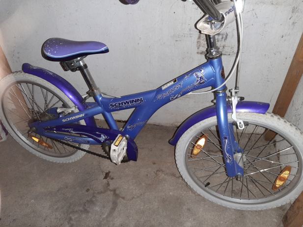 schwinn stardust 20