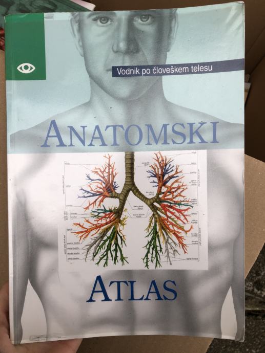 Anatomski Atlas