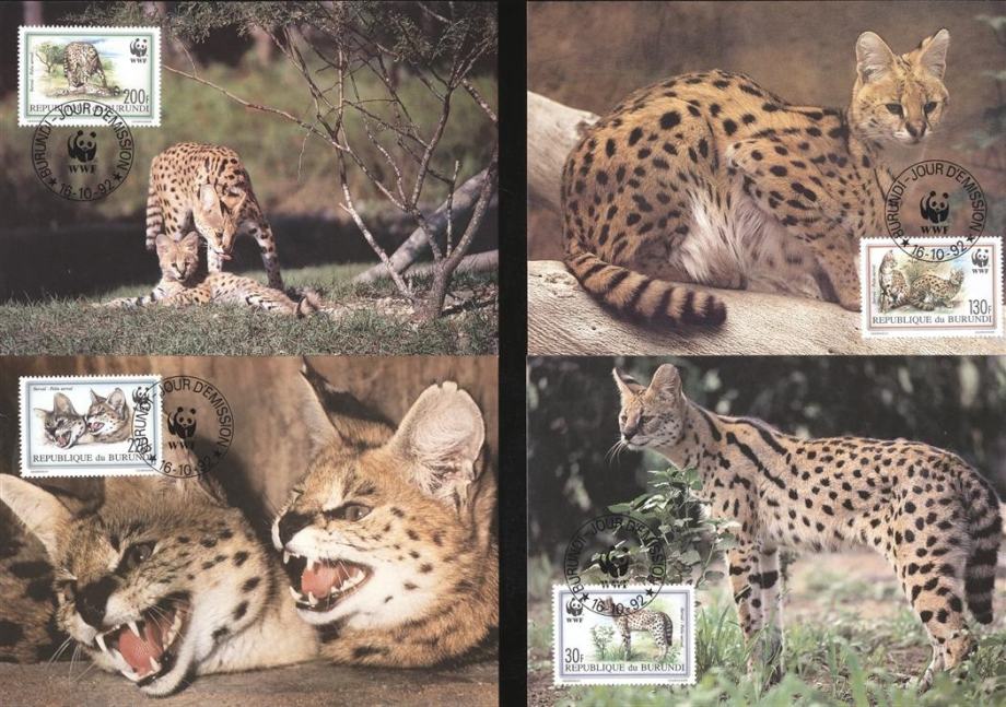 BURUNDI 1992 WWF SERVAL ŽIVALI ** Mi 1758/1761 ** 4x maksimum