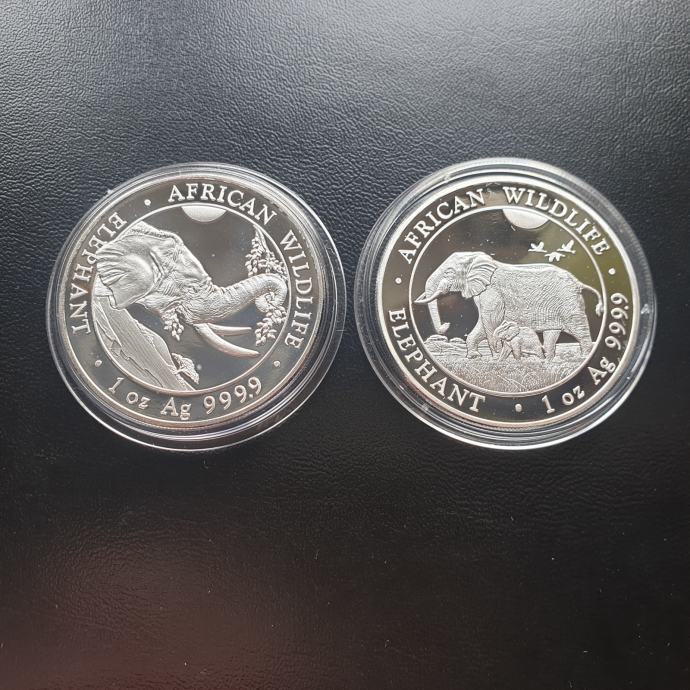 2 x SREBRNIK 1oz(31,1g)  SLONČEK 2022 IN 2023