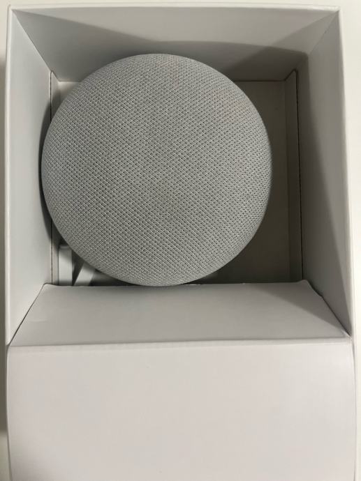 Google Nest Mini