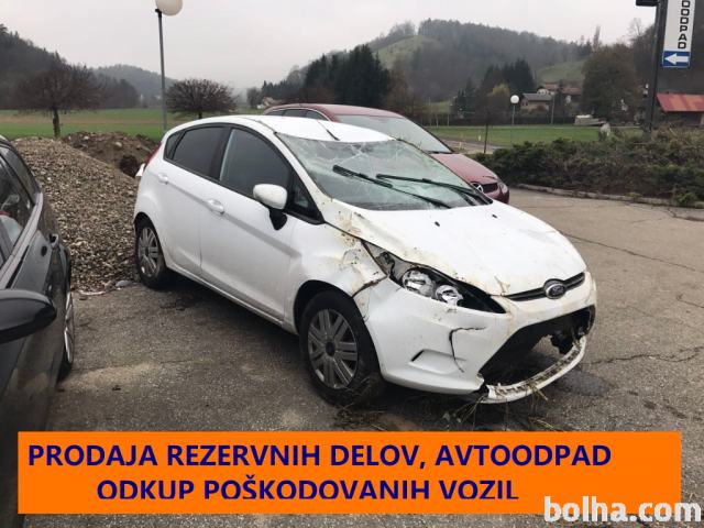 Ford Fiesta 1,25 TREND, letnik 2012, 11111 km, bencin