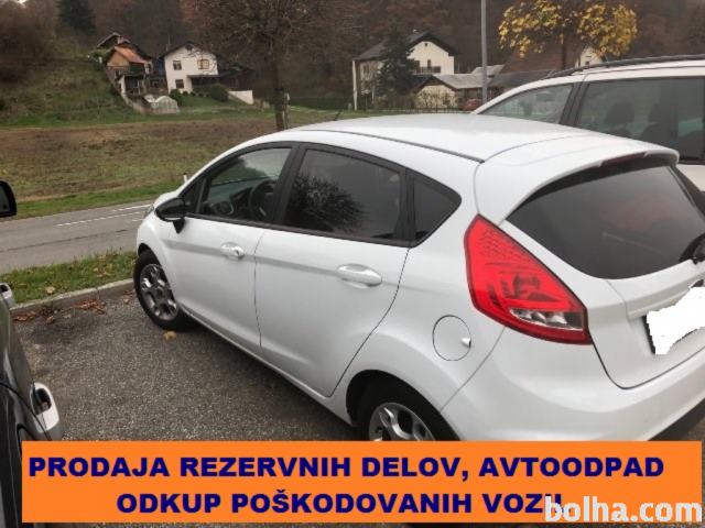 Ford Fiesta Ambiente 1.25 16V , letnik 2010, 11111 km, bencin