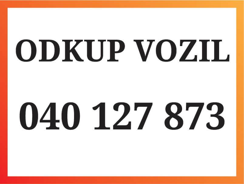 Nudimo gotovinski odkup vozil 040 127 873