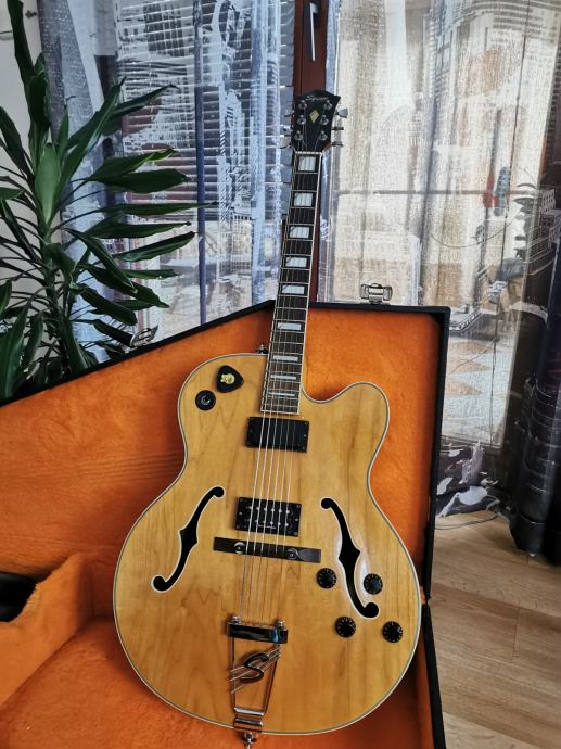 Fender squier x-155 archtop