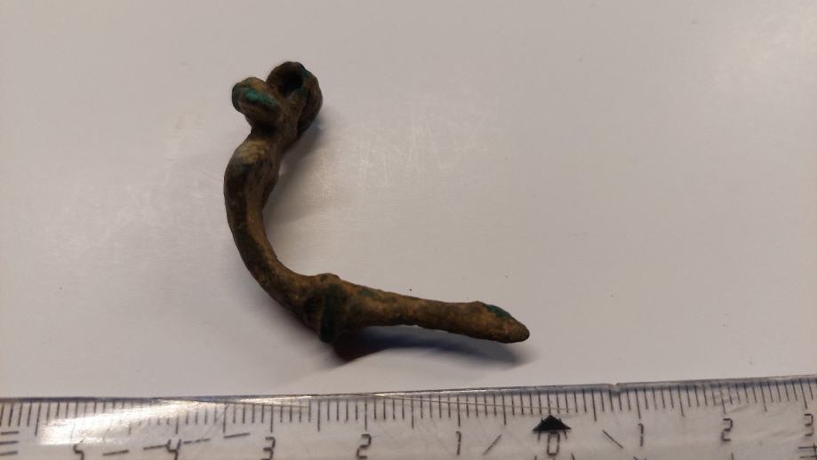 fibula