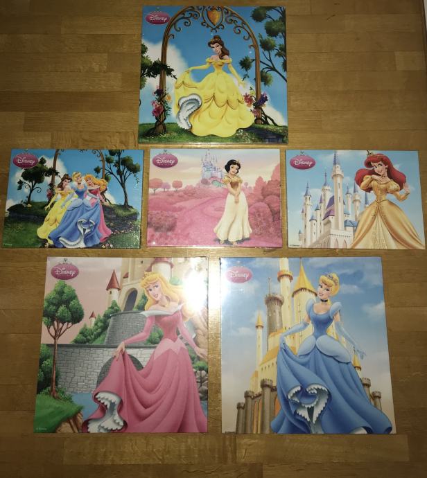 Disney princess kanvas slike