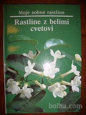 MOJE SOBNE RASTLINE RASTLINE Z BELIMI CVETOVI