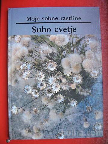 Moje sobne rastline:Suho cvetje