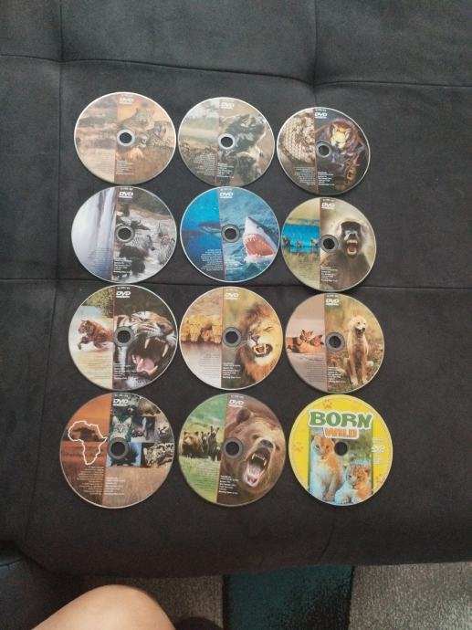 12x DVD o divjih živalih, slo podnapisi