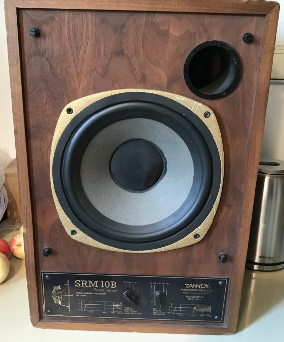 TANNOY SRM 10B