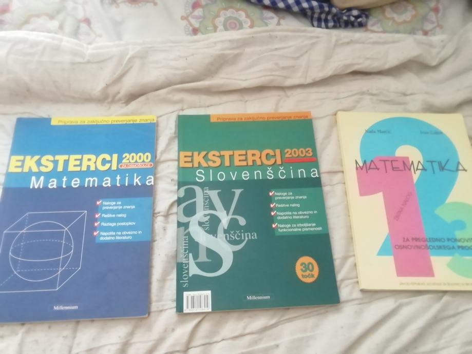 EKSTERCI MATEMATIKA 2000 IN SLOVENSCINA 2003