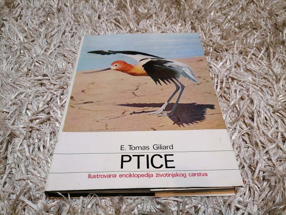 Ptice, E. Thomas Giliard