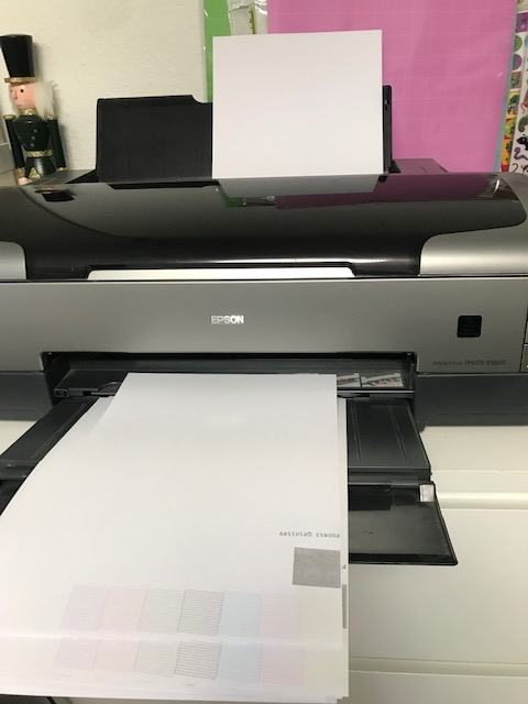 EPSON  STYLUS PHOTO R1800