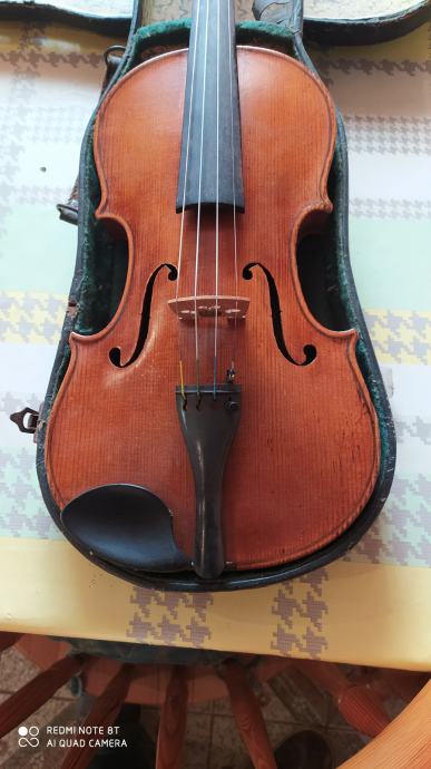 Violina