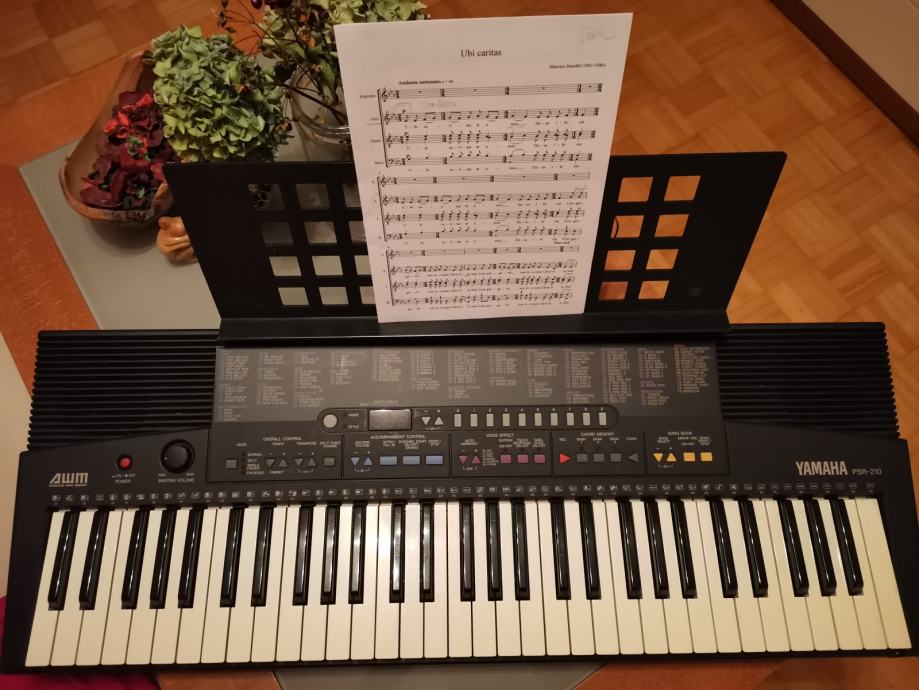 Klaviature Yamaha PSR-210