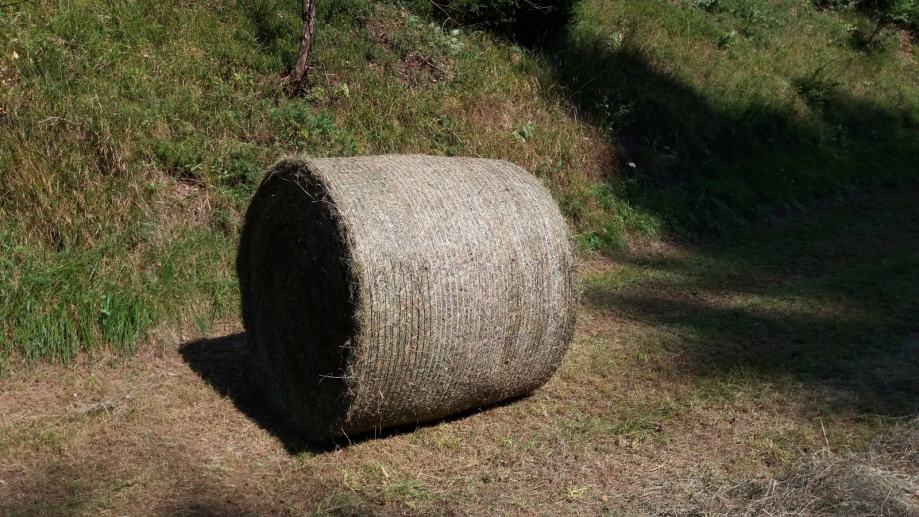 Okrogle bale suhega sena in silažne bale