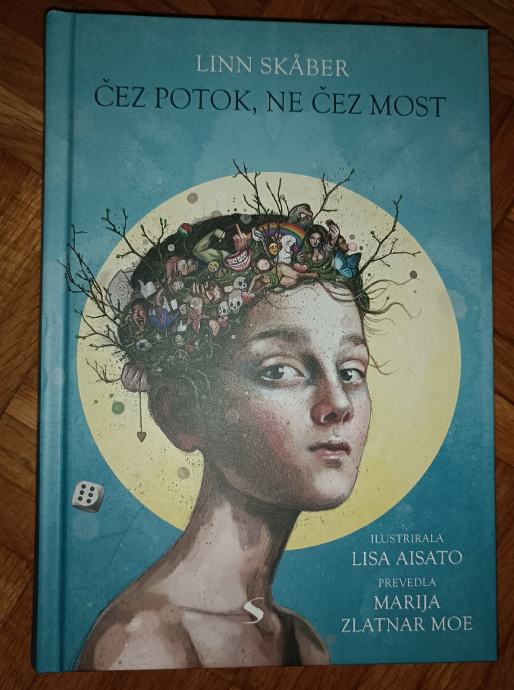 Čez potok, ne čez most - Lin Skaber