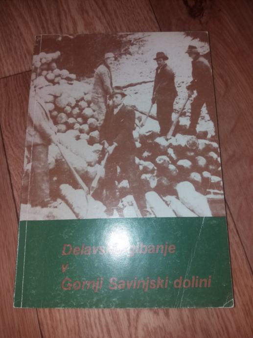 DELAVSKO GIBANJE V GORNJI SAVINJSKI DOLINI