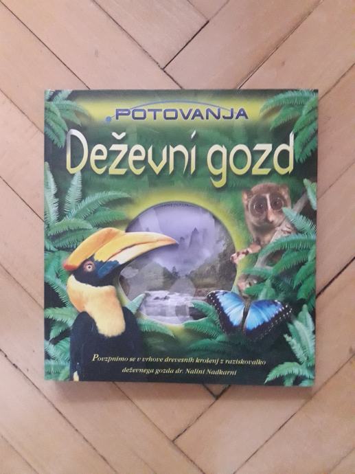 Deževni pragozd