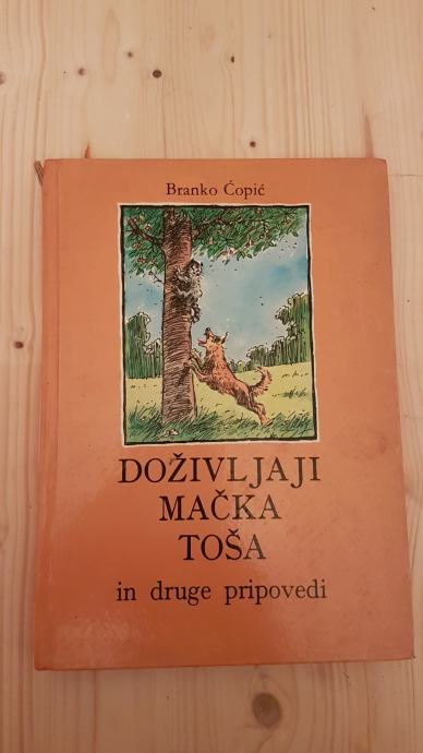 Doživljaji mačka toša, Branko Ćopić