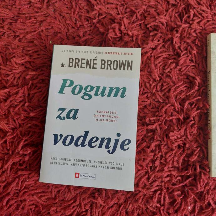 Dr. Brene Brown - Pogum za vodenje