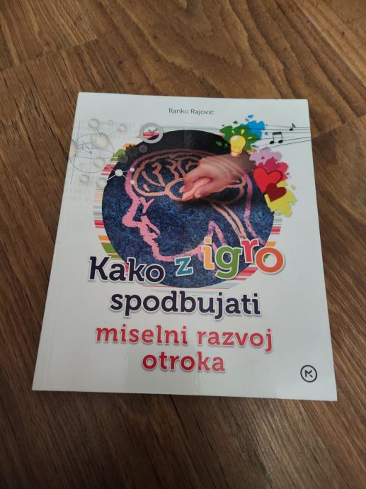 Kako z igro spodbuditi miselni razvoj otroka - Rajović