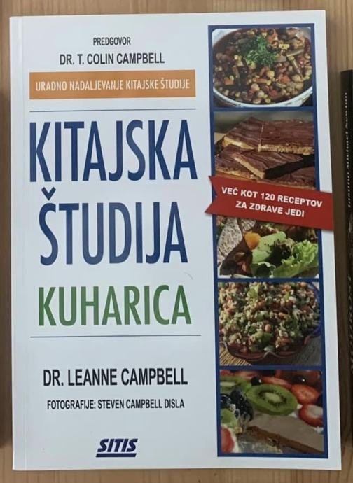 KITAJSKA ŠTUDIJA - kuharica, 15€ (novo)