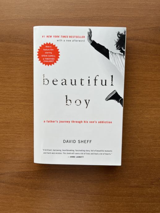 Knjiga Beautiful Boy (David Sheff)